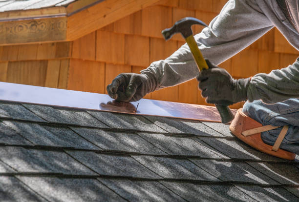 Best Rubber Roofing (EPDM, TPO)  in Metlatla, AK